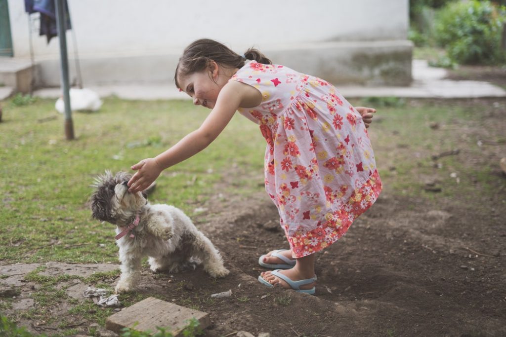 The Top 5 Ways to Know if Your Child Should Get a Puppy